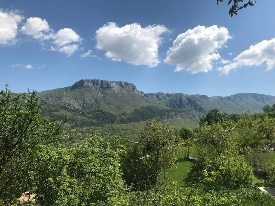 Grandma'S Hut Villa Nikšić Eksteriør bilde